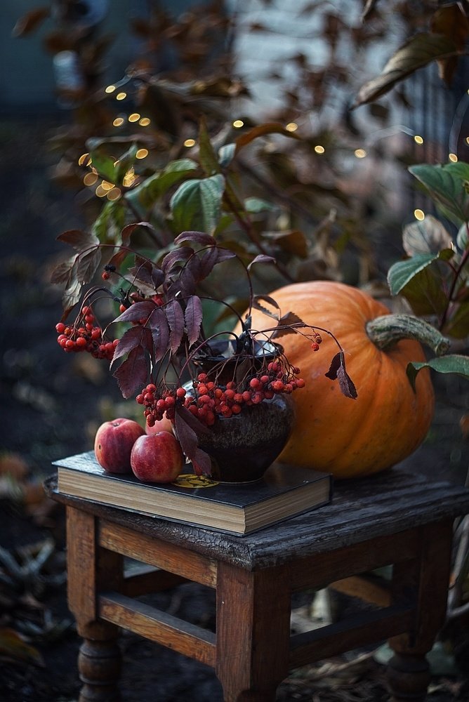 Photograph by Наталья Шленкина