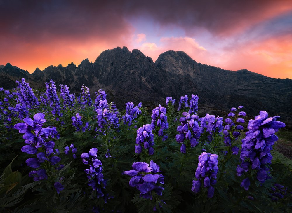 Photograph by Filip Hrebenda