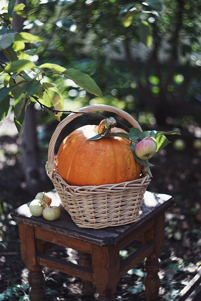 Photograph by Наталья Шленкина