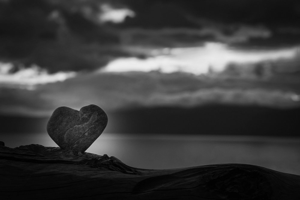 Фотография автора Оркина Ксения