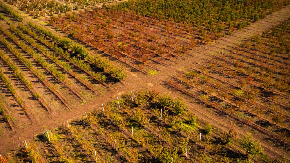 Photograph by Сергей Лазуткин