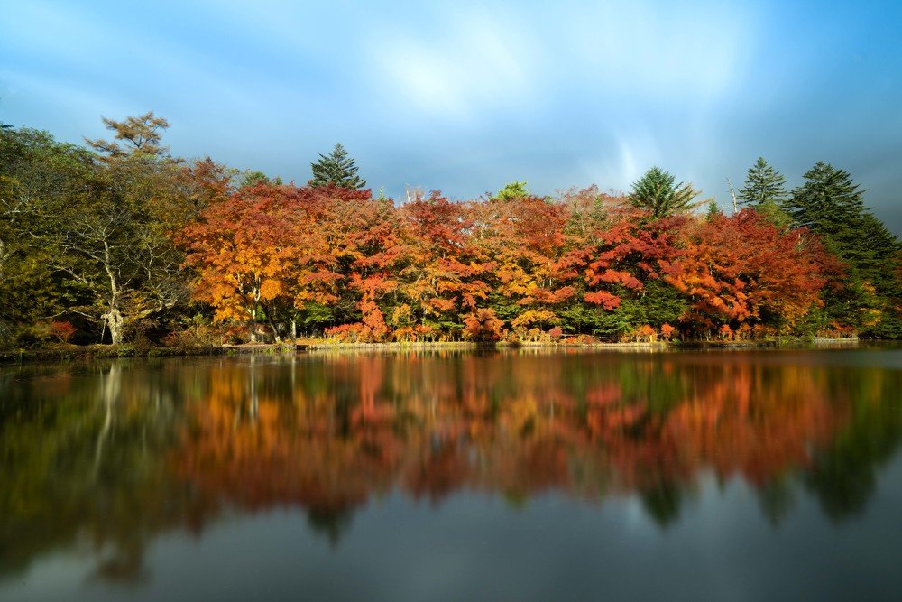 Photograph by EELIN Chan