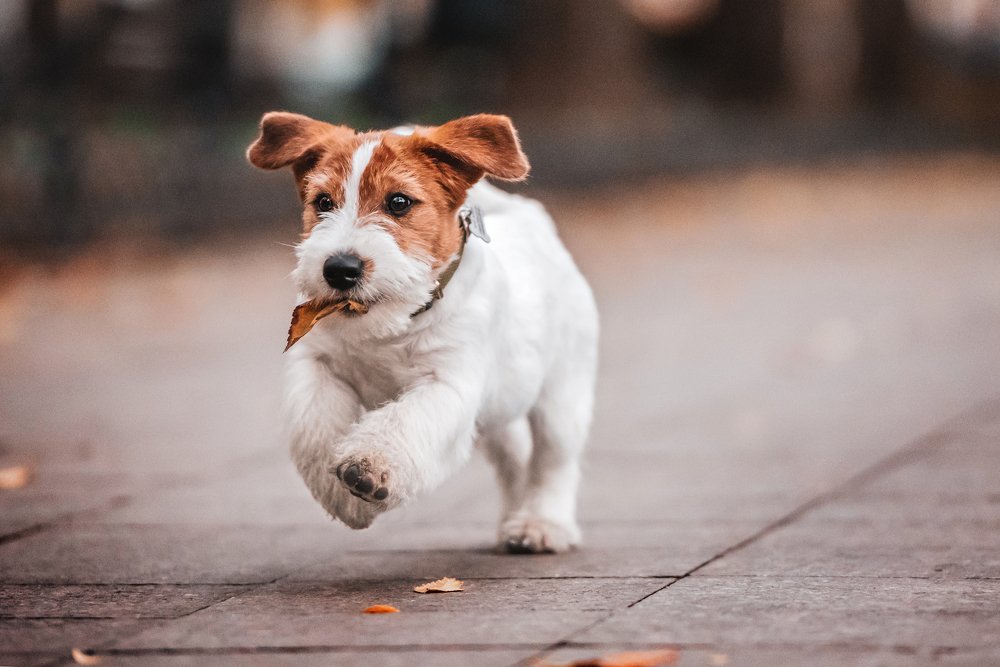 Photograph by Виола Поликарпова