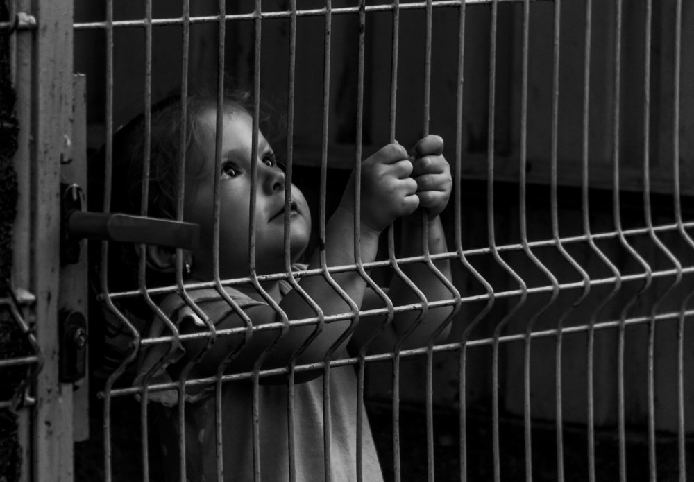 Фотография автора Comșa Bogdan