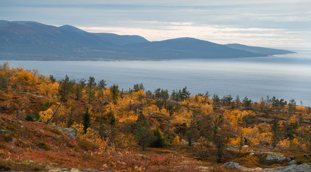 Photograph by Павел Шемякин