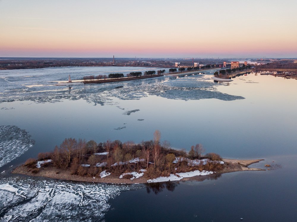 Рыба-остров