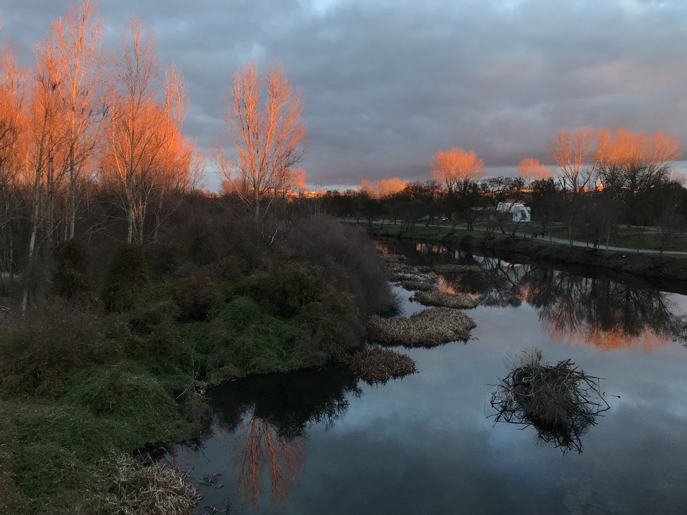 Photograph by Raúl Díaz Baltasar