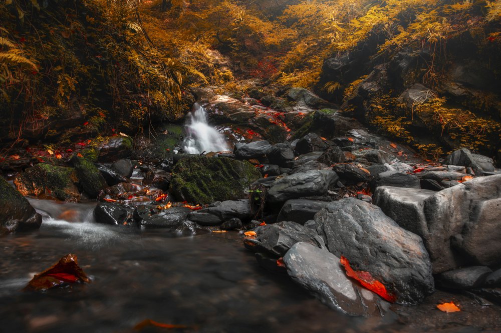 Photograph by Ольга Шацкая