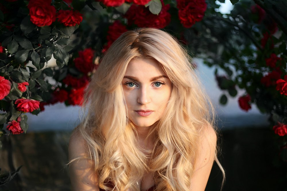 Photograph by Олеся Стоцкая