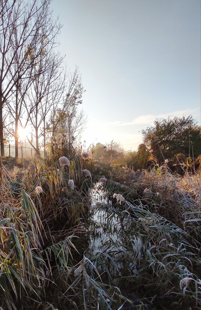 Первое морозное утро
