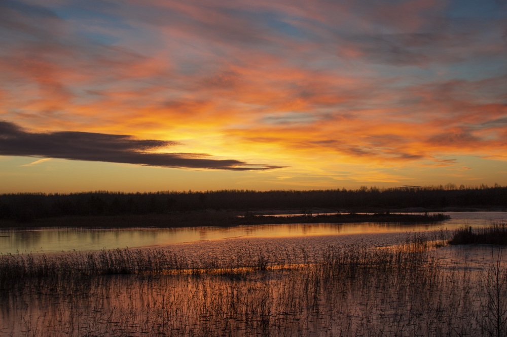 Photograph by Ирина Толокнова