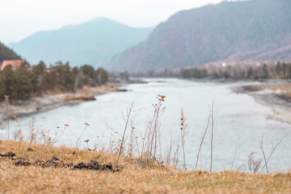 Photograph by ИРЕНА Федорова