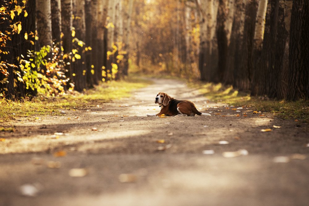 Photograph by ИРЕНА Федорова