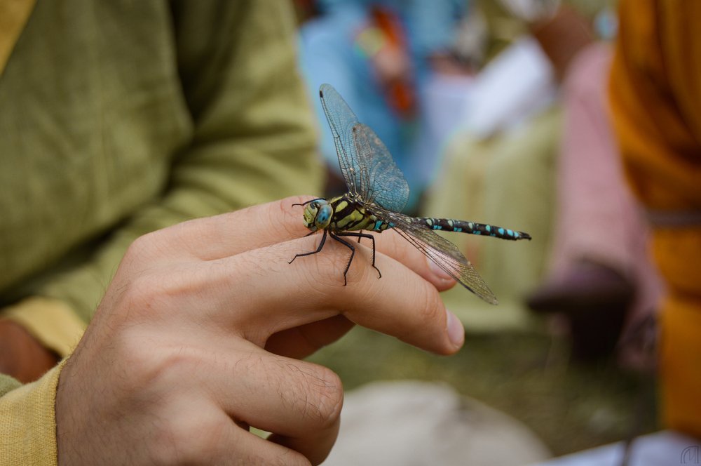 Photograph by Маргарита Гасец