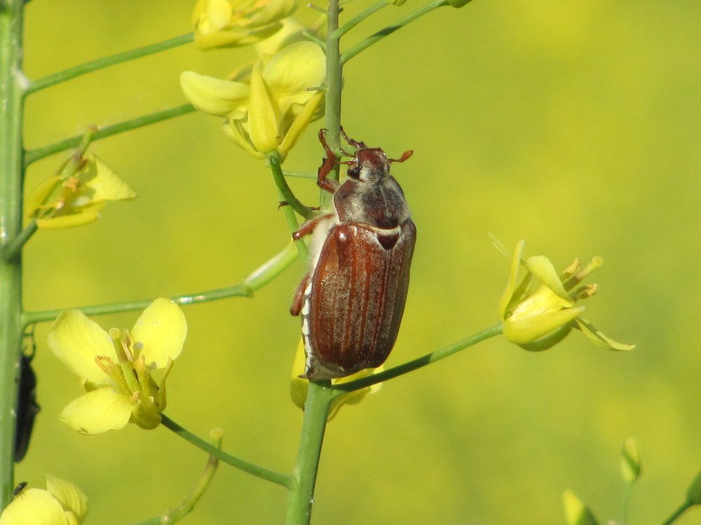 Photograph by Юлия