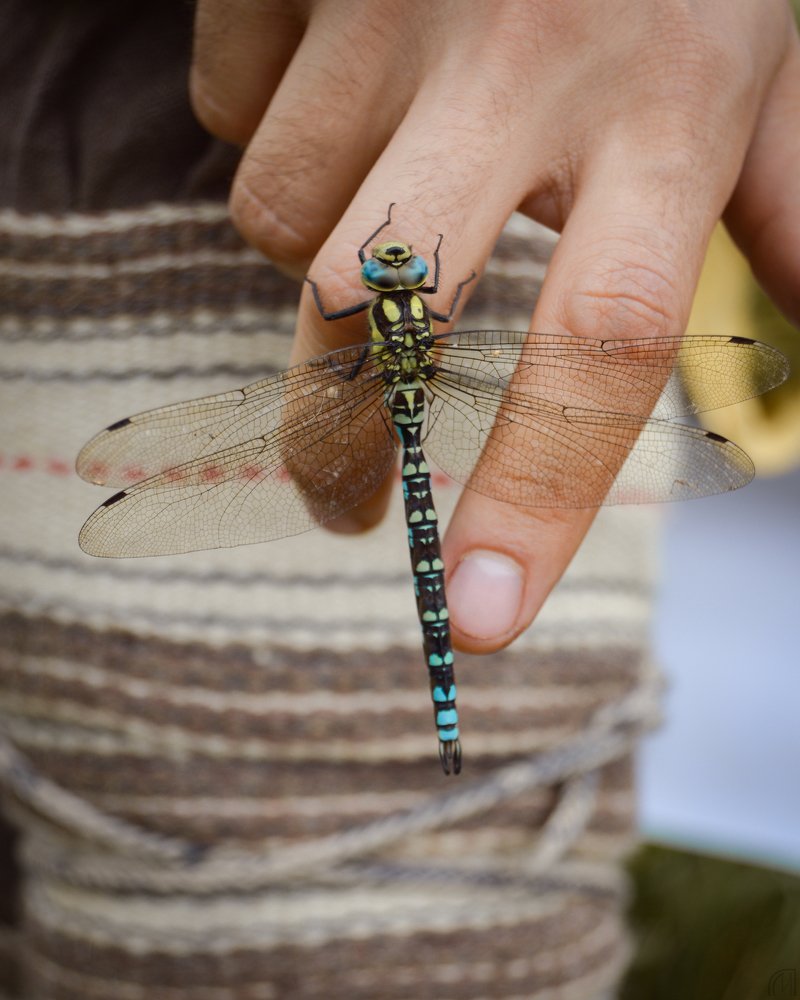 Photograph by Маргарита Гасец