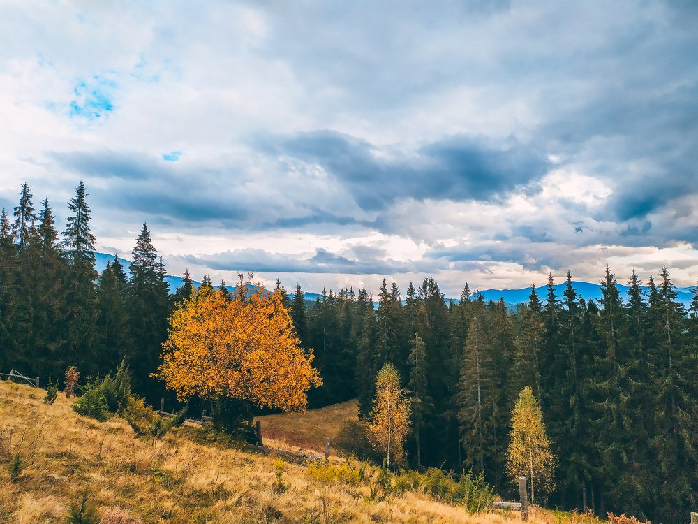 Photograph by Alekseeva Marina