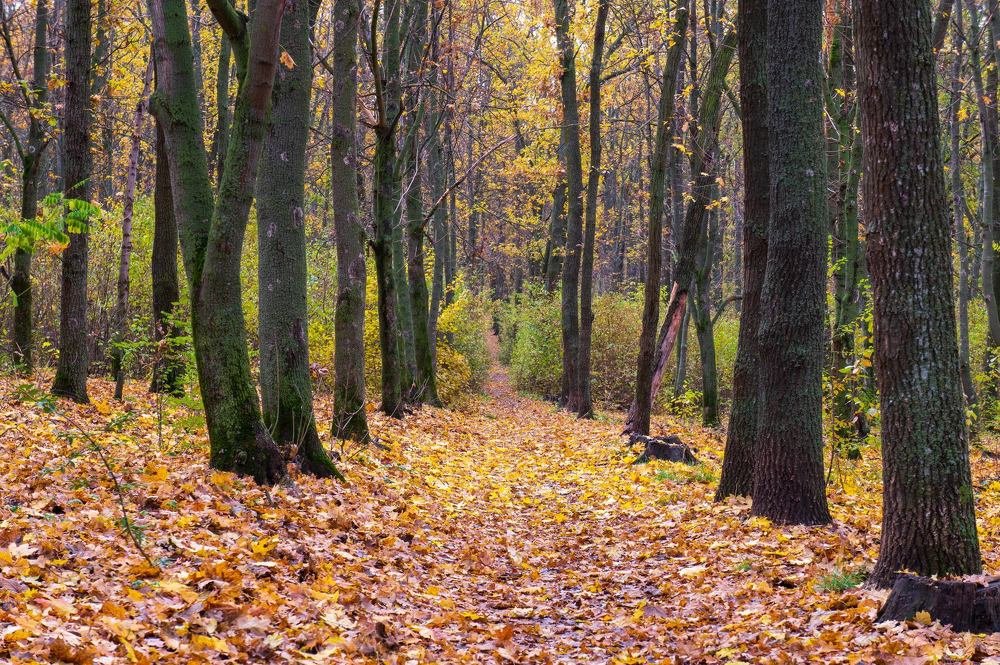 Photograph by Олег Ершов