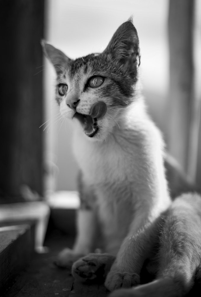 Photograph by Puja Dey