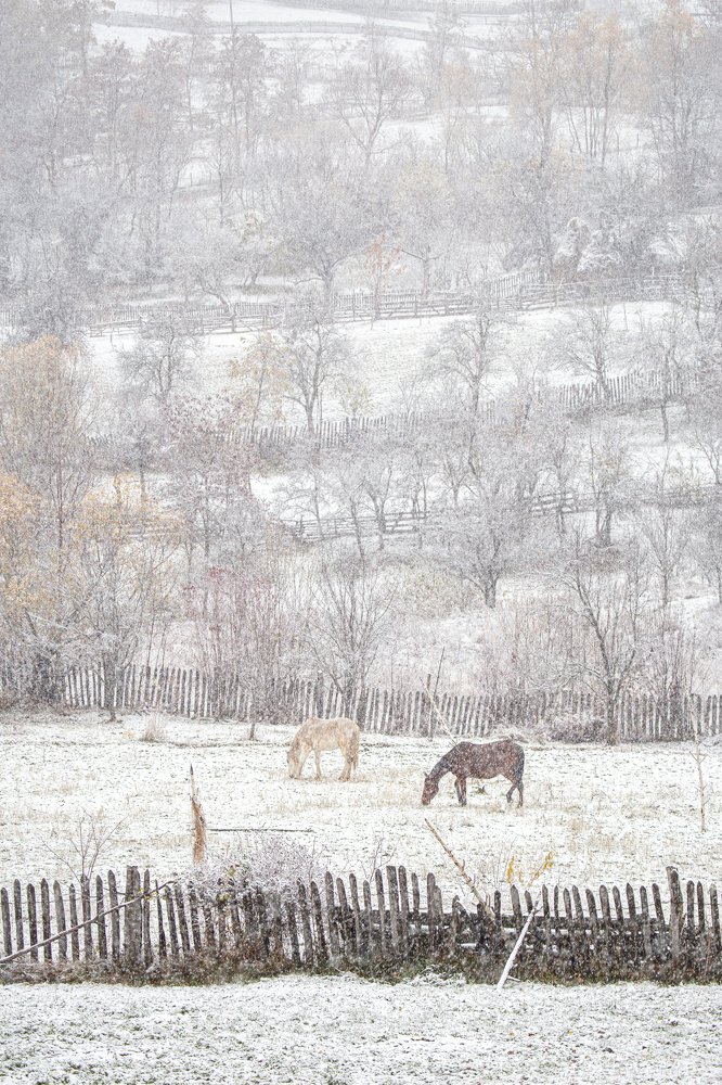 Photograph by Dzintra Zvagina