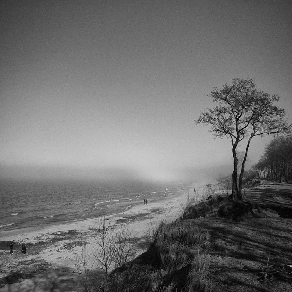 Photograph by Лора Алексеева