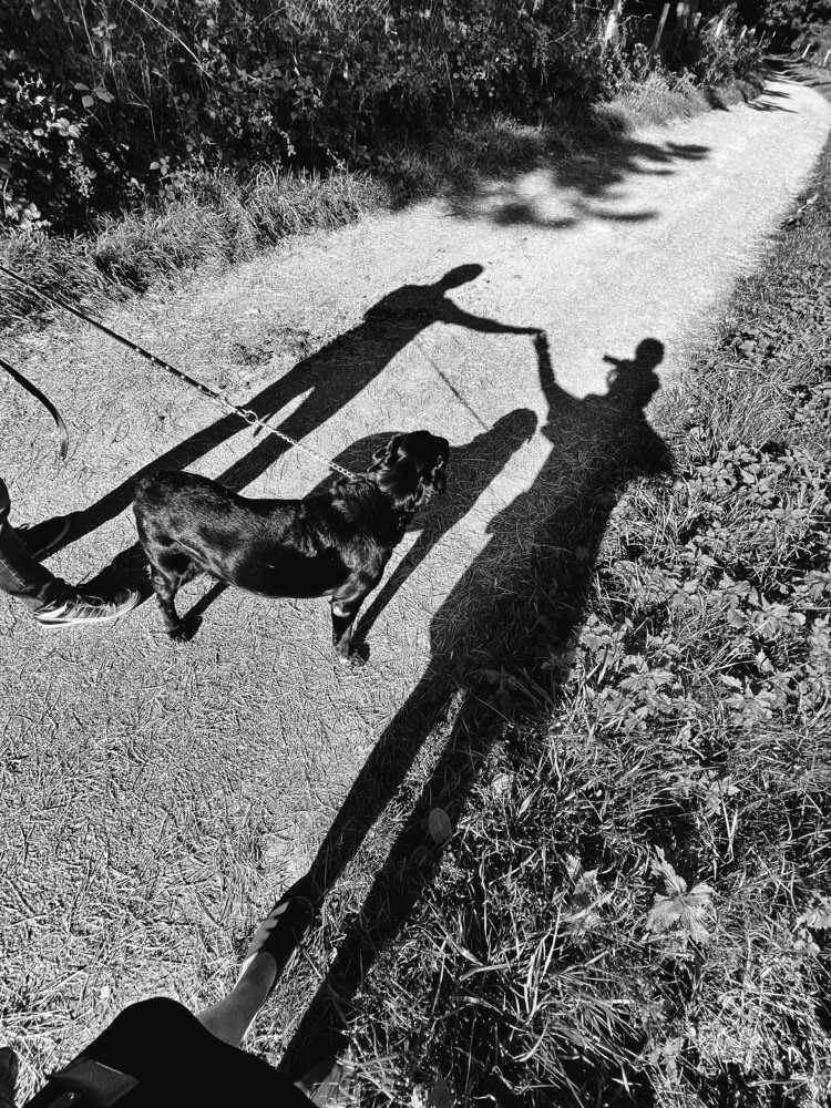 Photograph by Наталья Гайдар