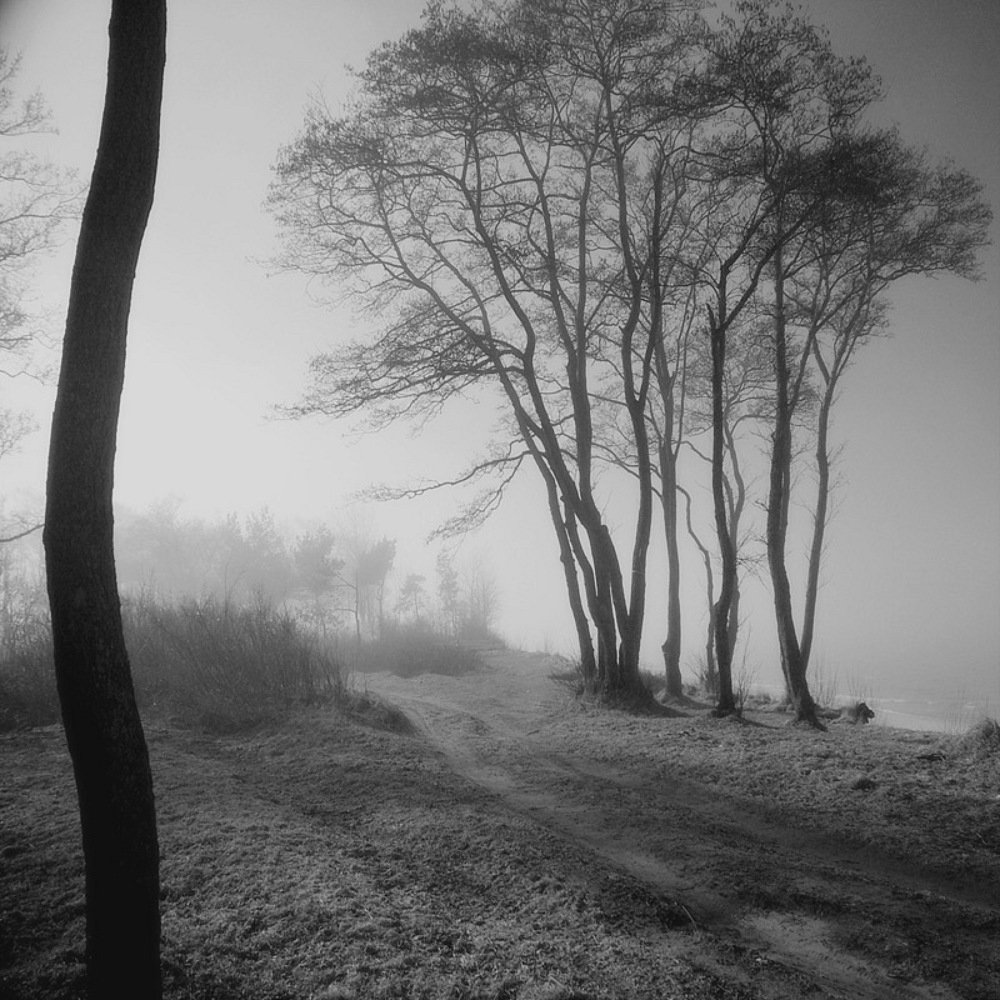 Photograph by Лора Алексеева