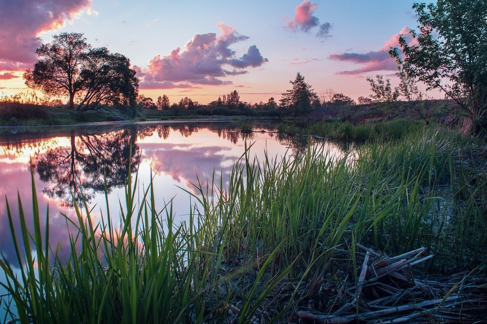 Фотография автора Евгений Подгорнов