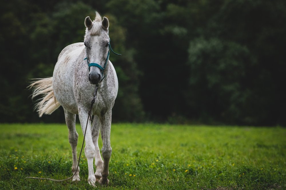 Photograph by Дмитрий Николаев