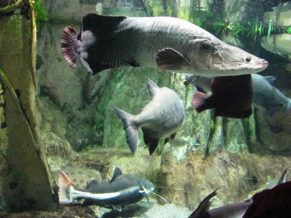 Photograph by Юлия