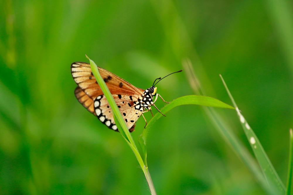 Photograph by MONISH POLLEY