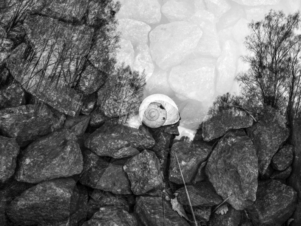 Photograph by Виктория Максименко