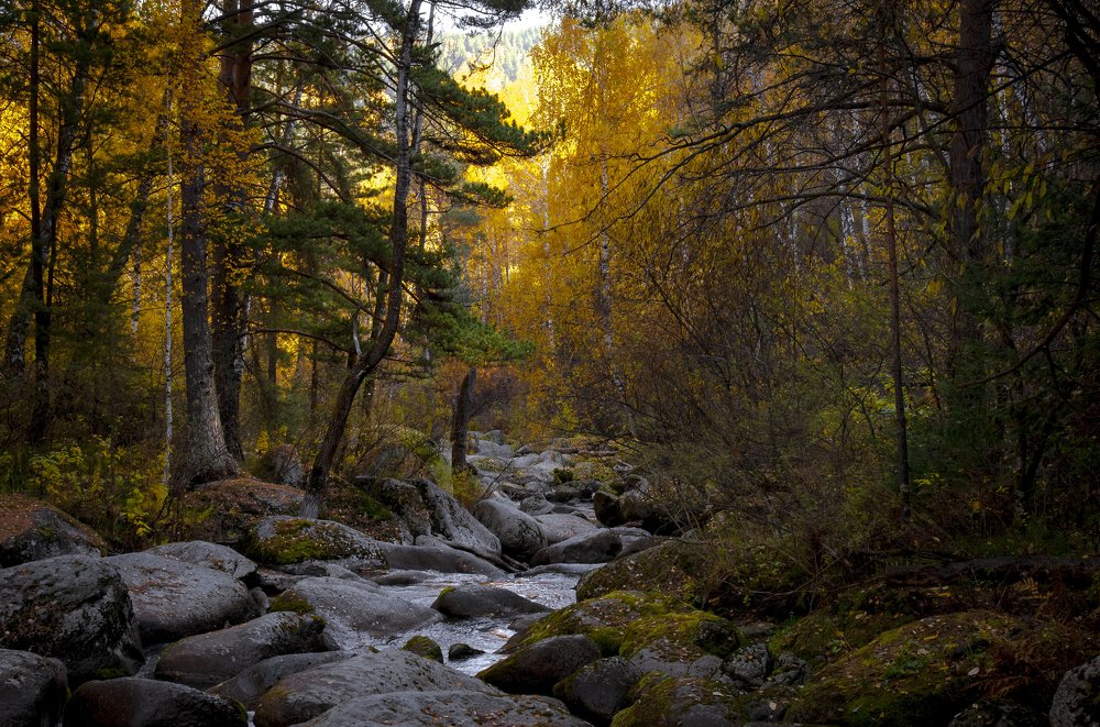 Осенний день...