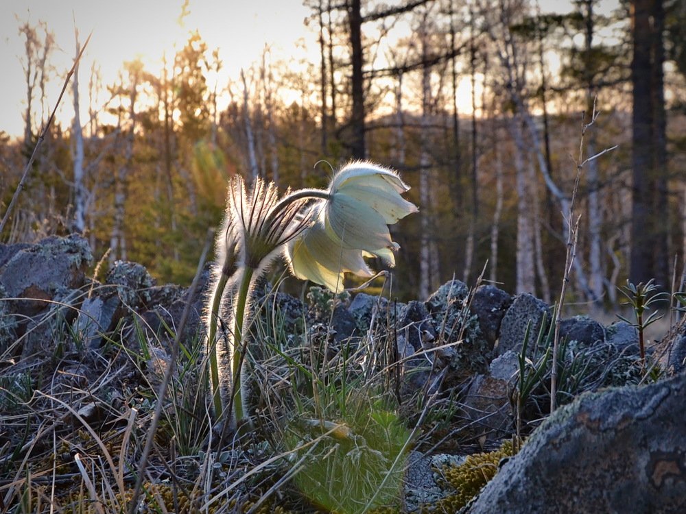 Фотография автора Галка