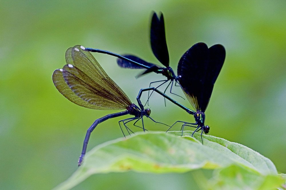 Photograph by Sergey Bykov