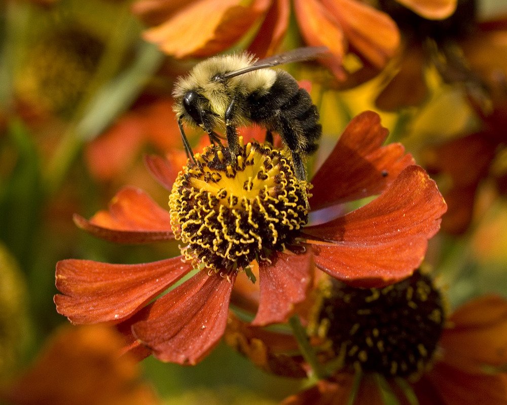 Photograph by Sergey Bykov