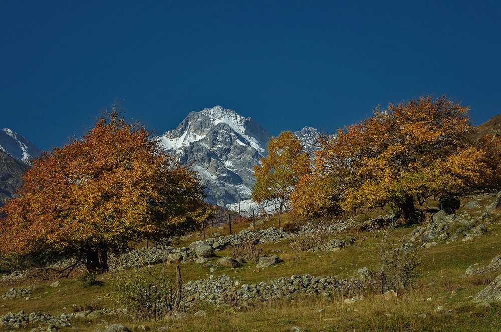Photograph by Александр Поборчий
