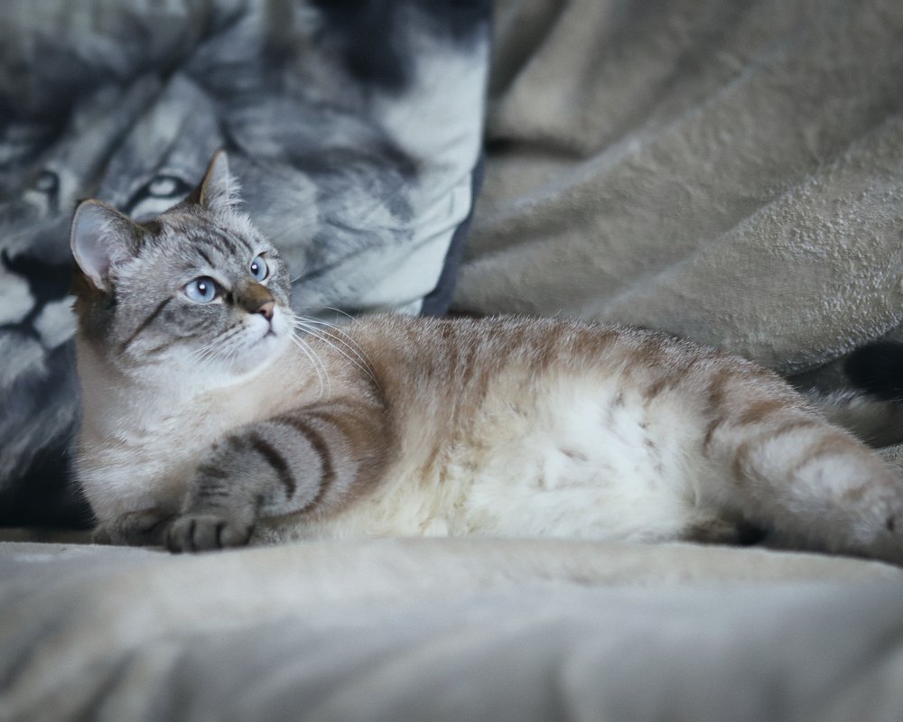 Photograph by Олег Атласов