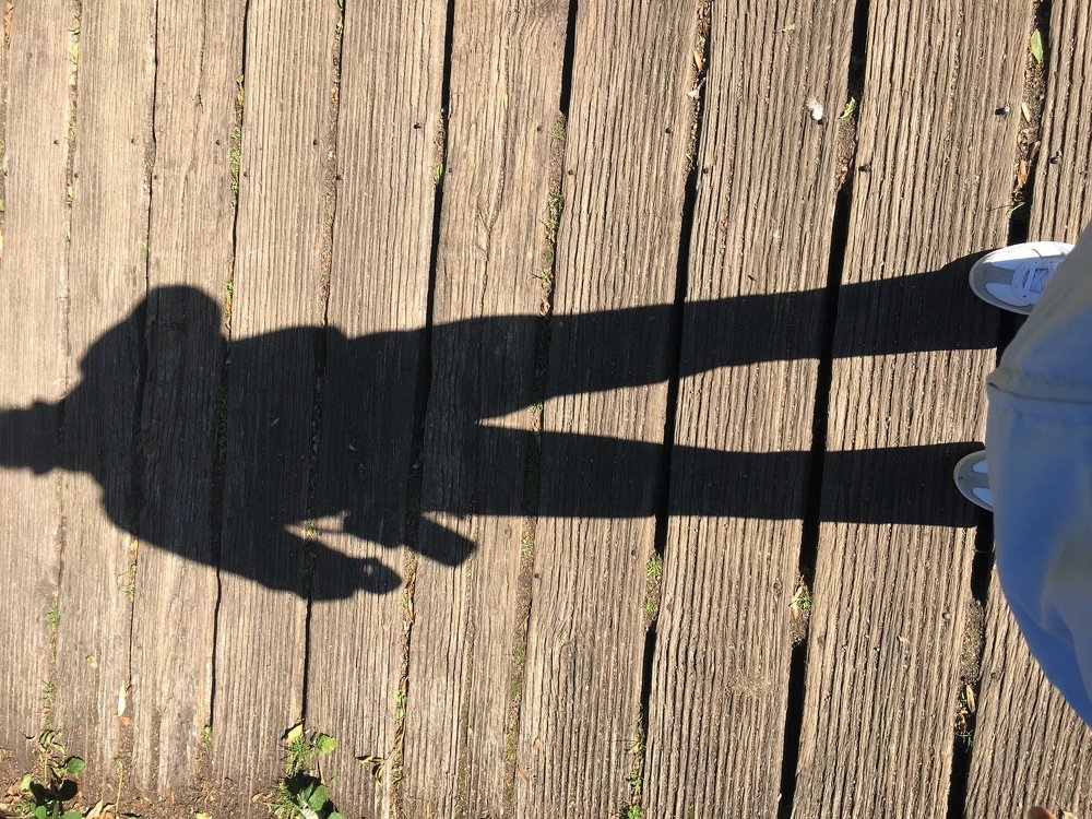 Photograph by Sharad vadoliya