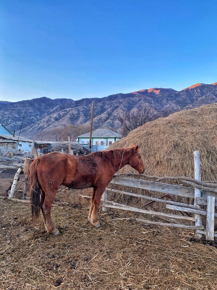 Photograph by Дана Жулдызбек