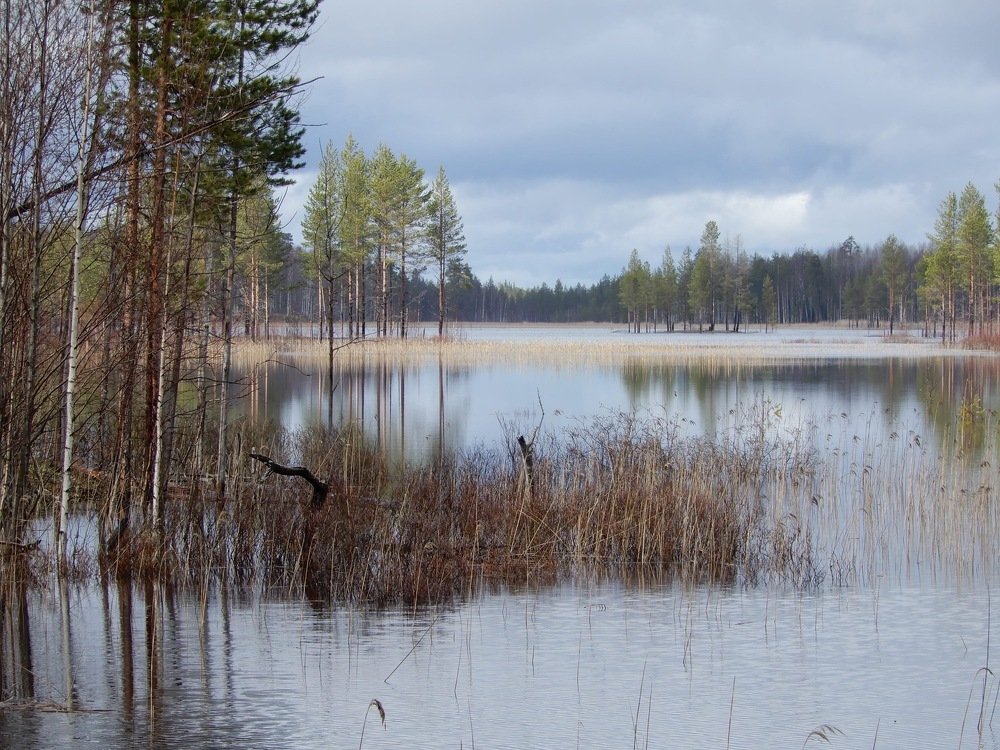 Photograph by Александр Зуев
