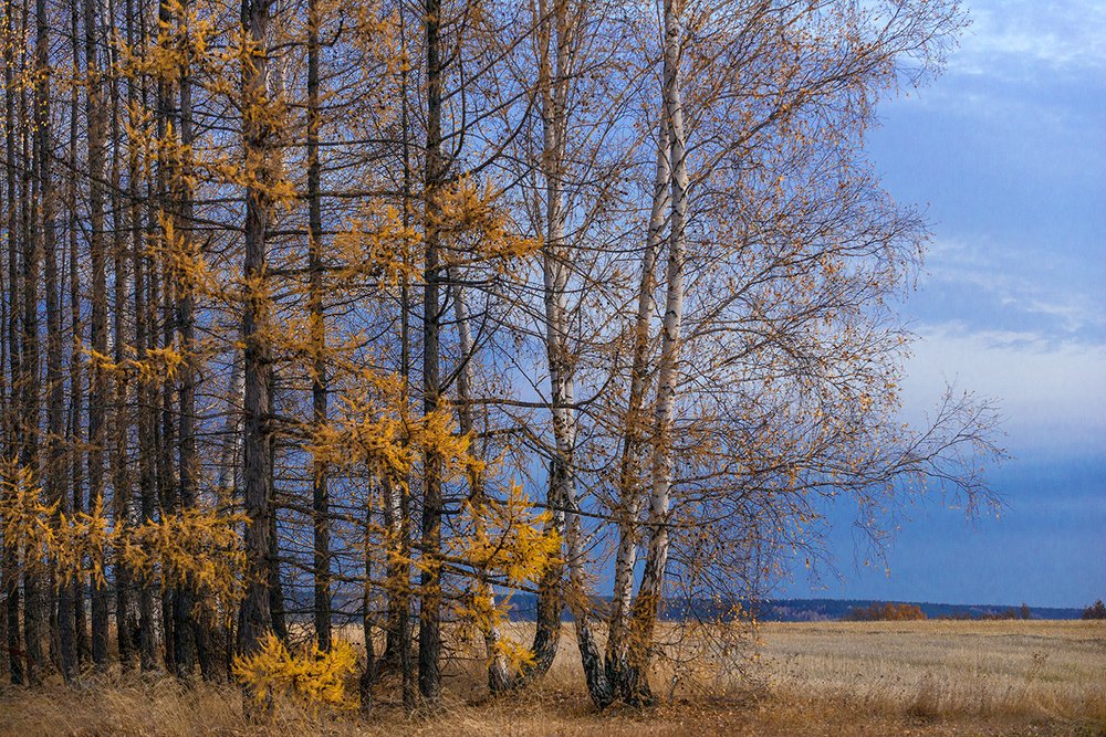 Photograph by Владислав Никишин