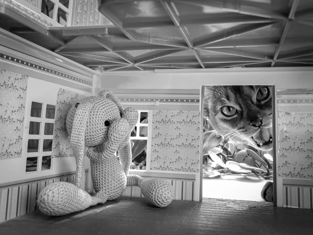 Photograph by Алёна Савицкая