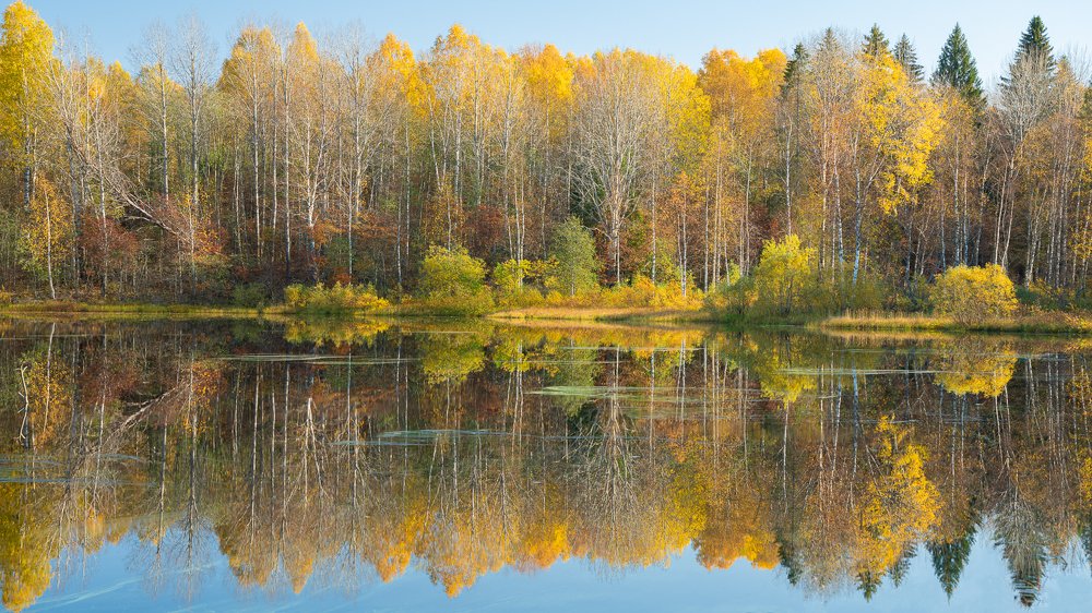 Фотография автора Вадим Жигулин