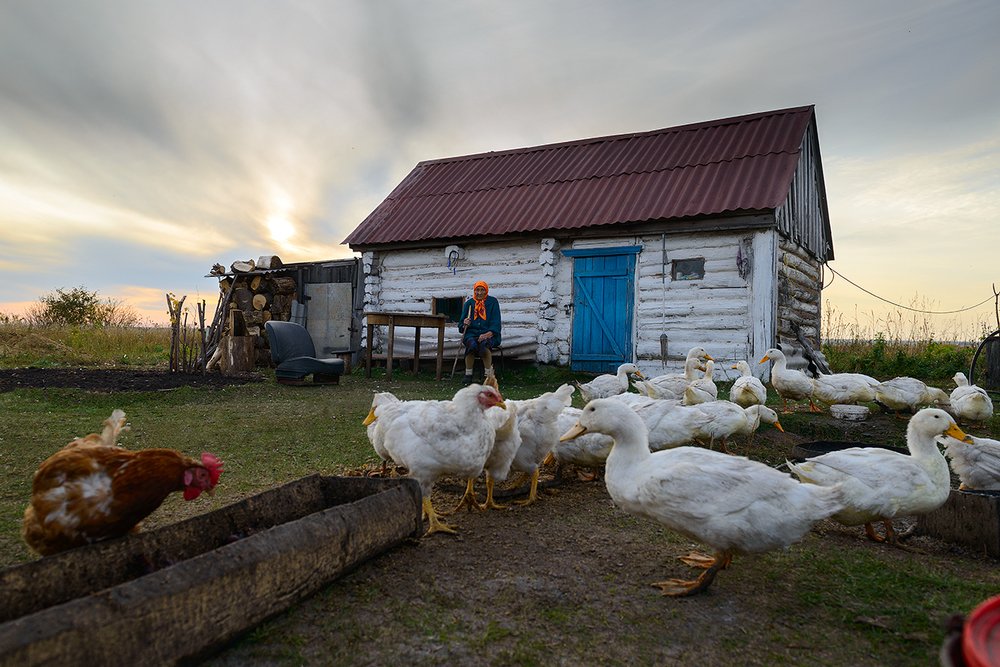 Photograph by Владислав Никишин