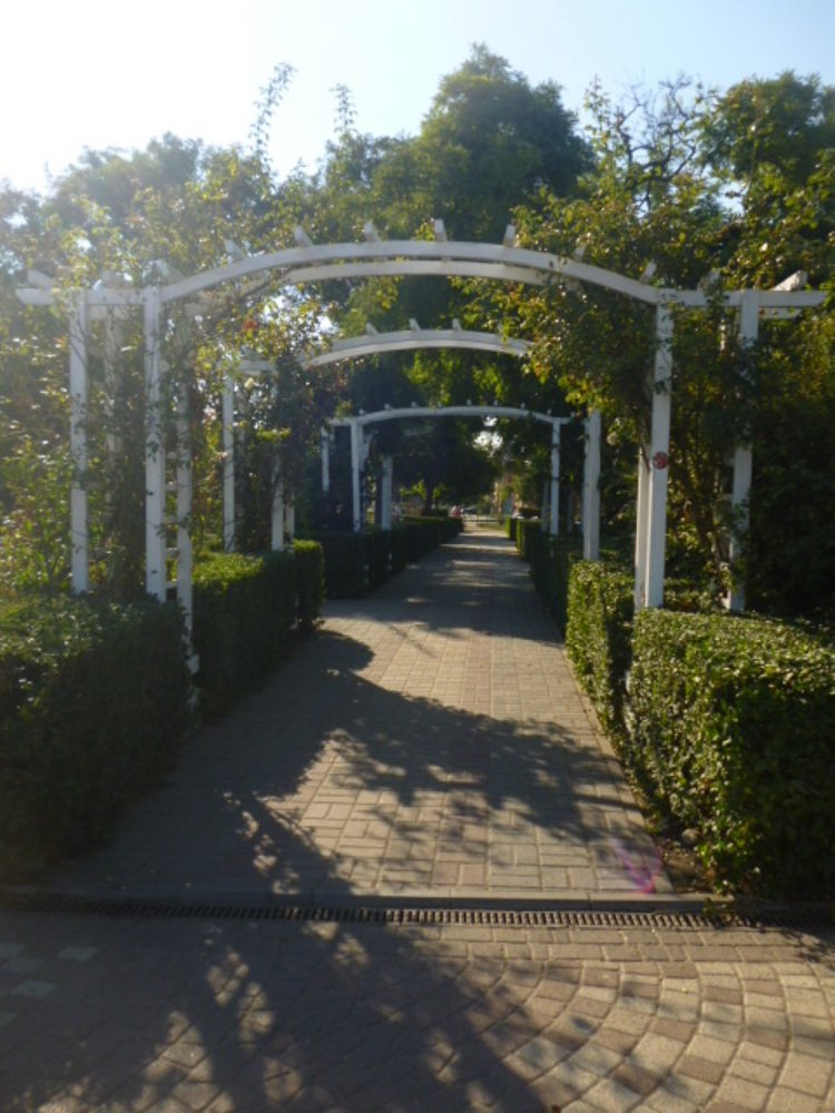 Photograph by Мила