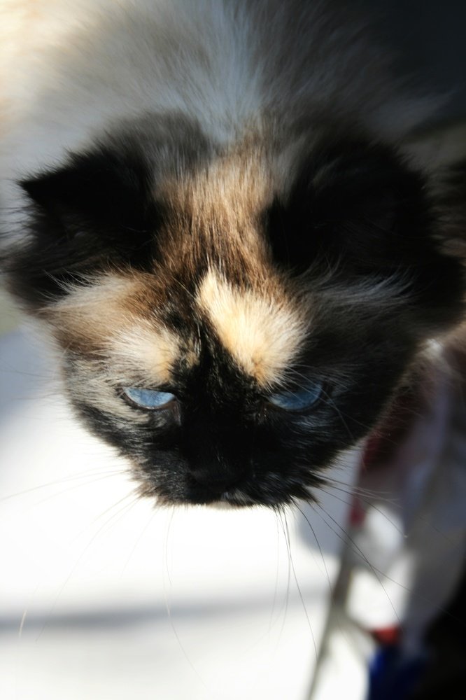 Photograph by Anastasiia Mietielieva