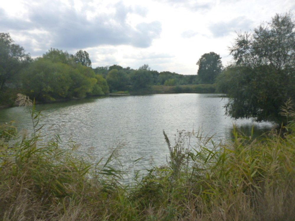 Photograph by Мила