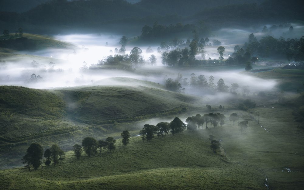 Misty Valley