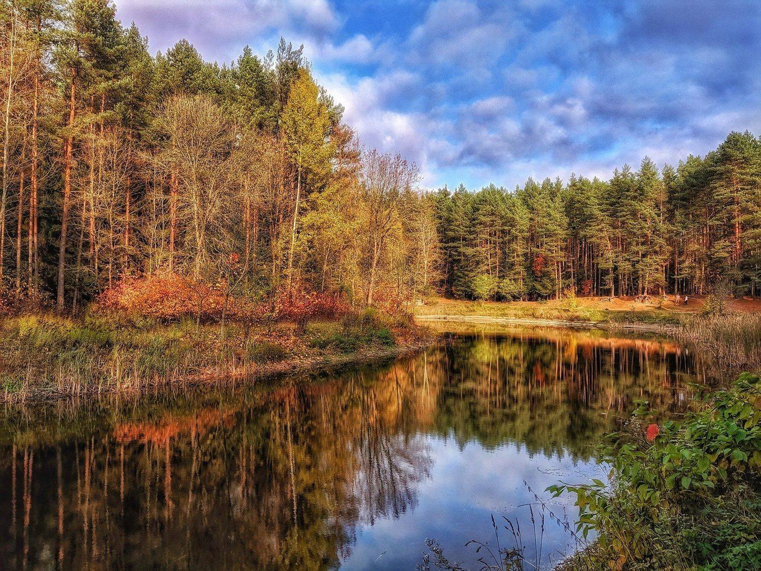 Photo #5283542